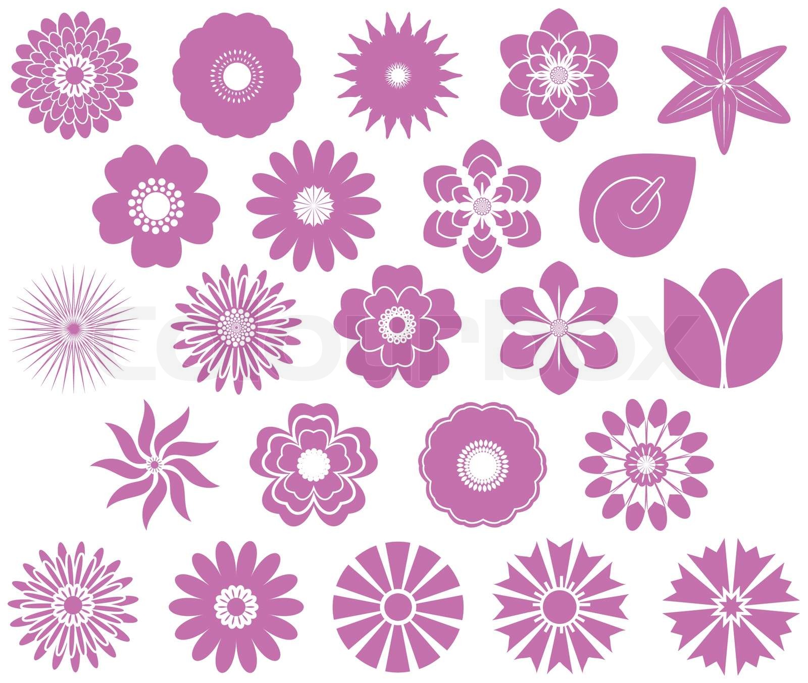 Blumen-set | Stock-Vektor | Colourbox