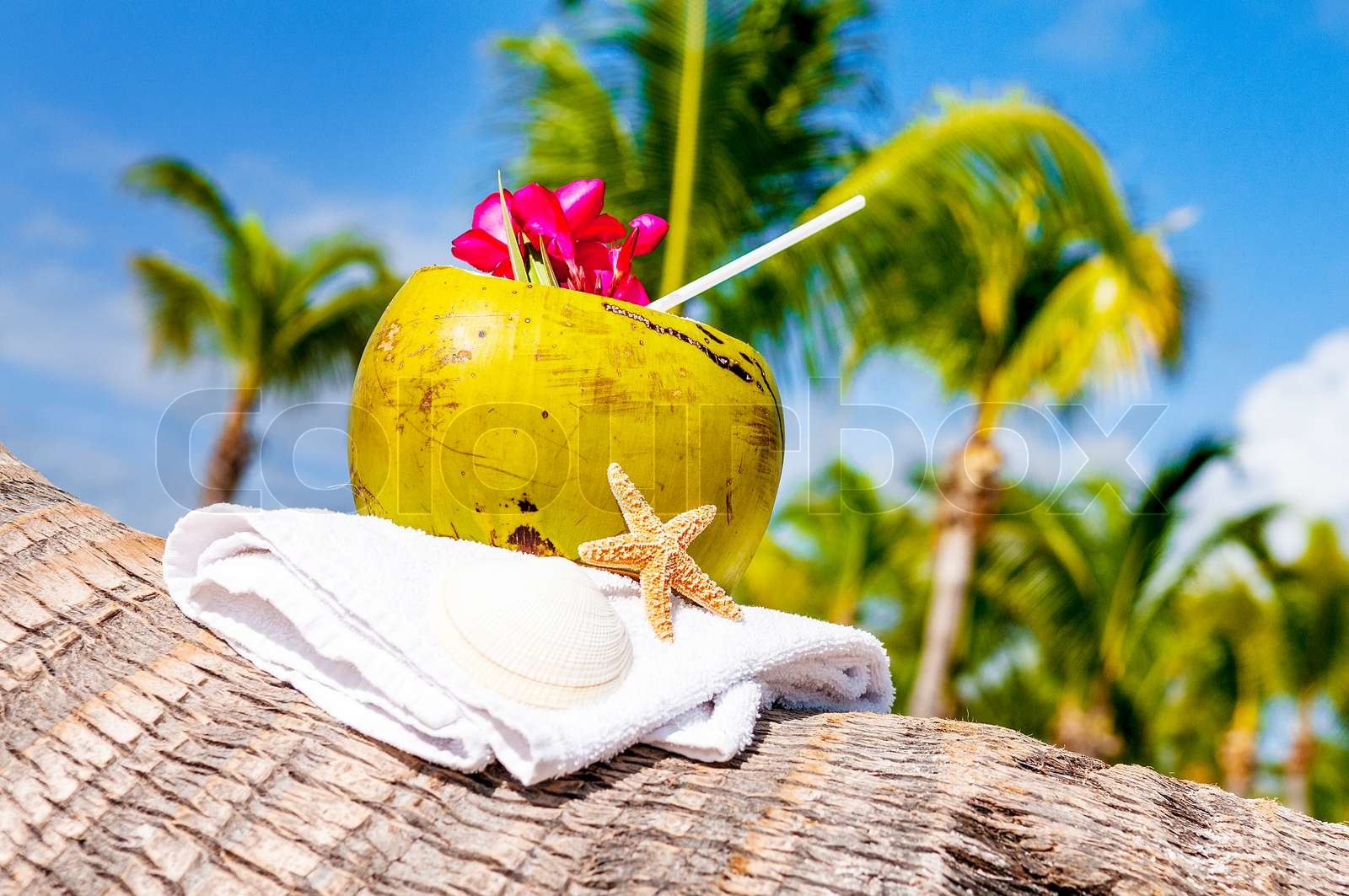 coconuts on the beach | Stock image | Colourbox