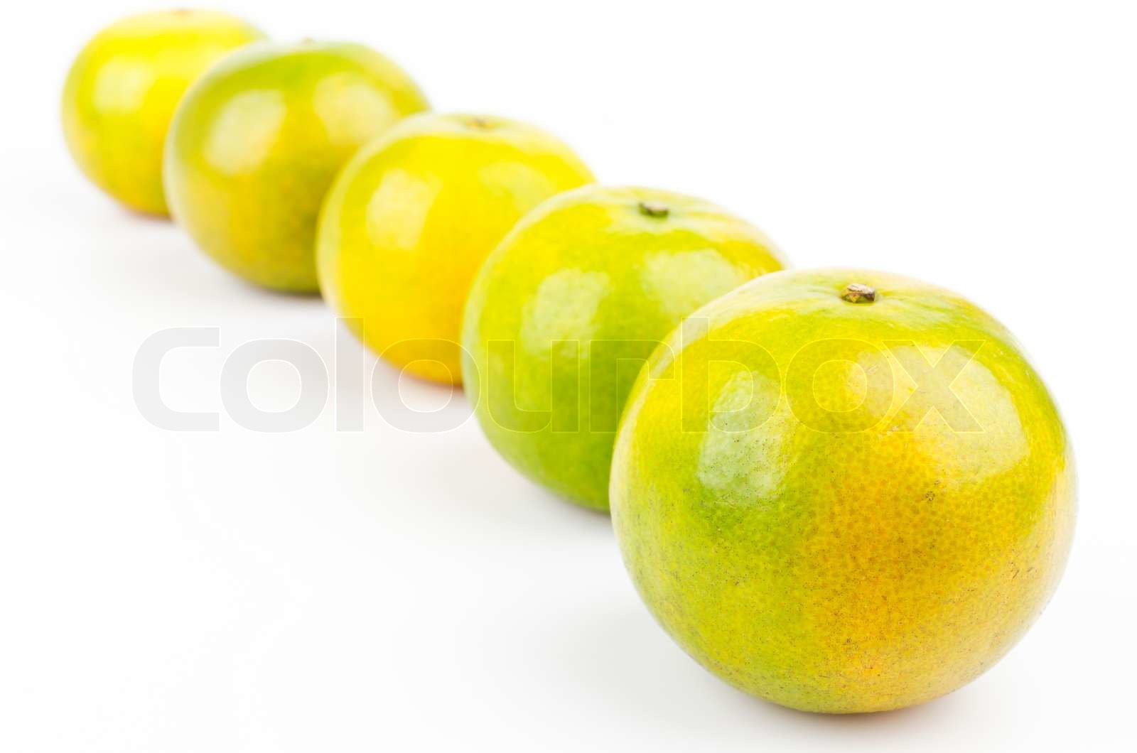 grün-orange | Stock Bild | Colourbox
