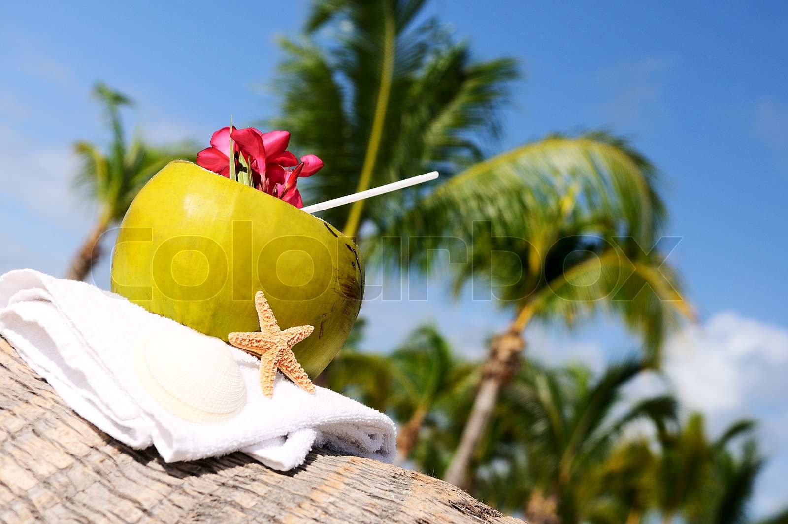 coconuts on the beach Stock image Colourbox
