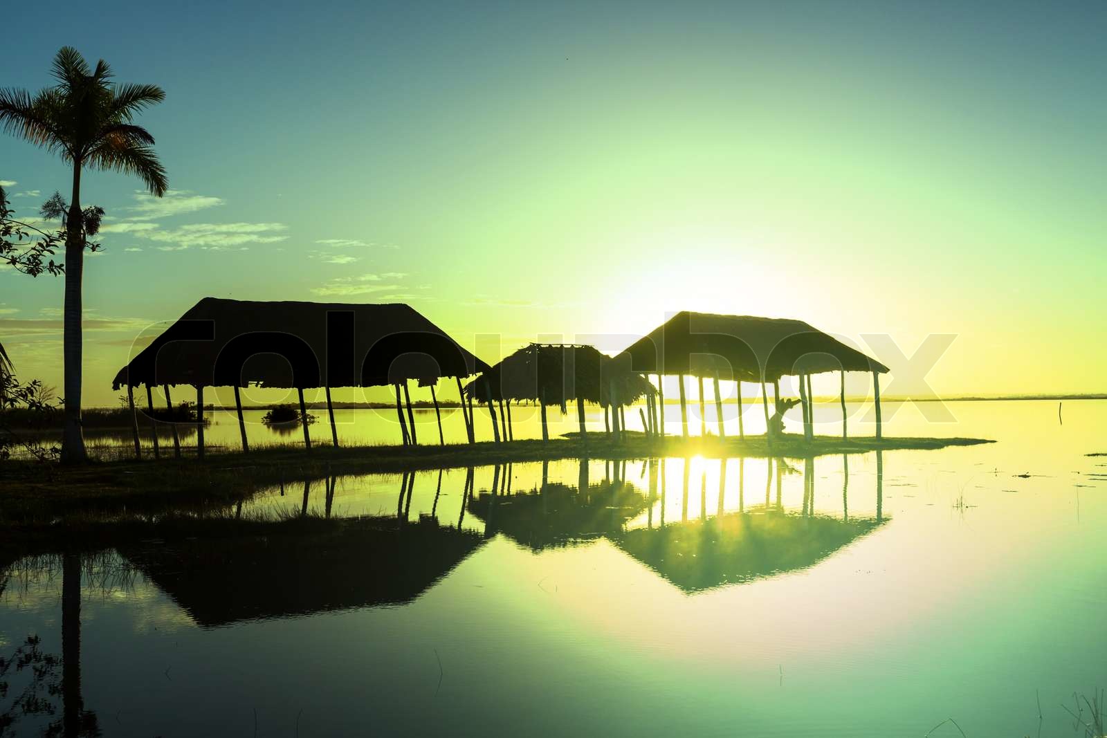 Palapa Stock image Colourbox