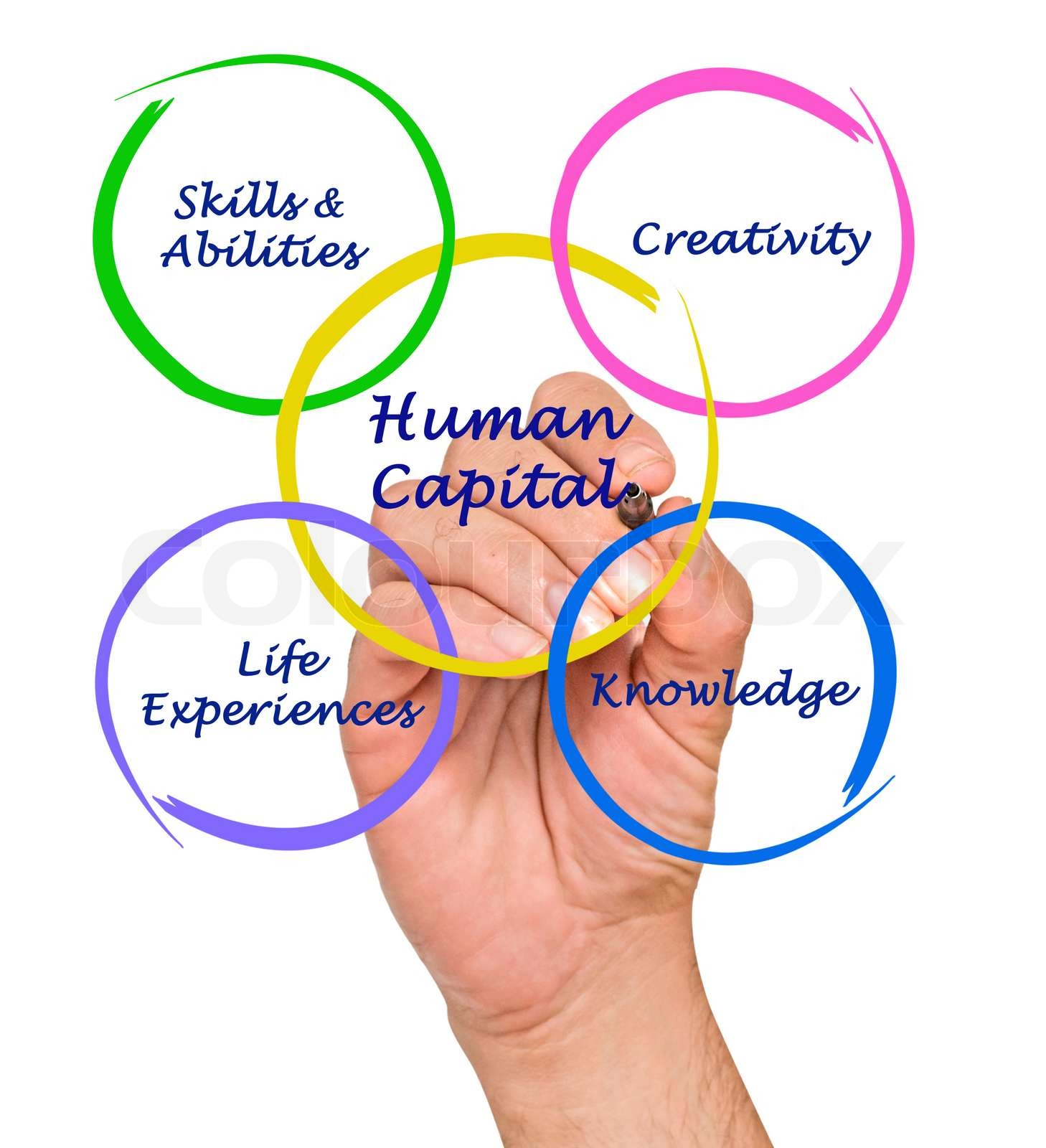 Humankapital | Stock Bild | Colourbox