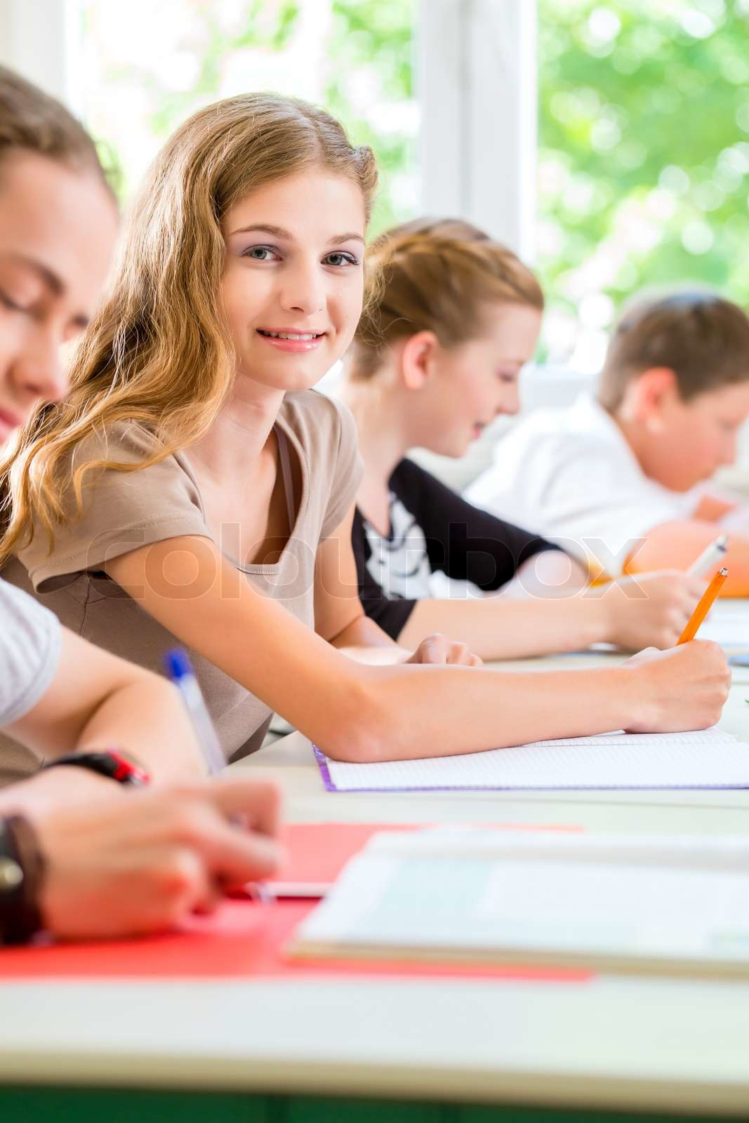 Students Writing A Test In School Concentrating Stock Image Colourbox