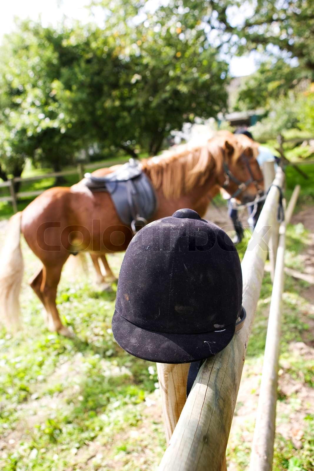 Equestrian hat and a horse Stock image Colourbox