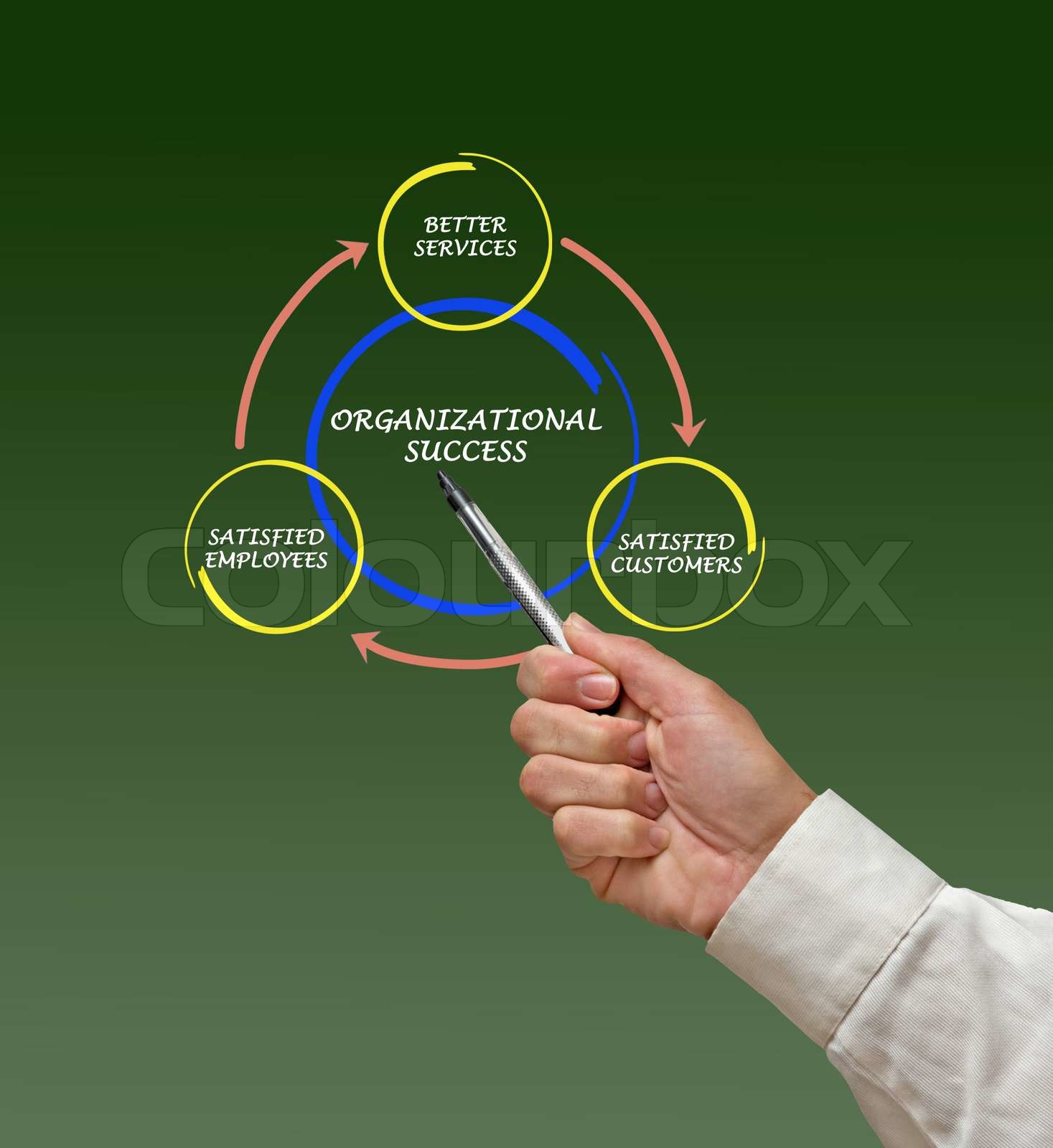 Management diagram | Stock image | Colourbox