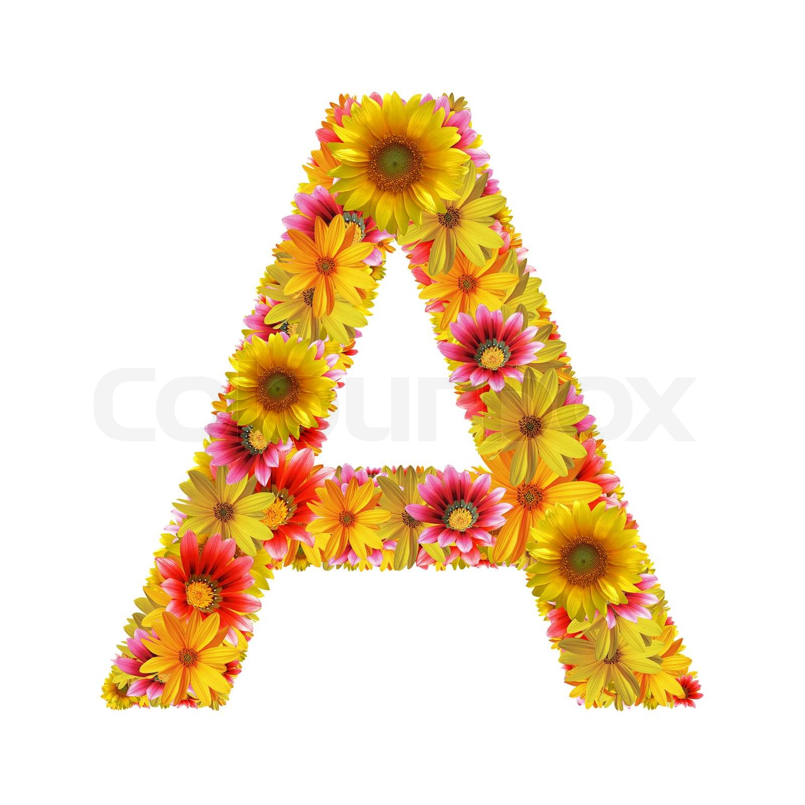 Blumen Buchstaben ein Stock Bild Colourbox