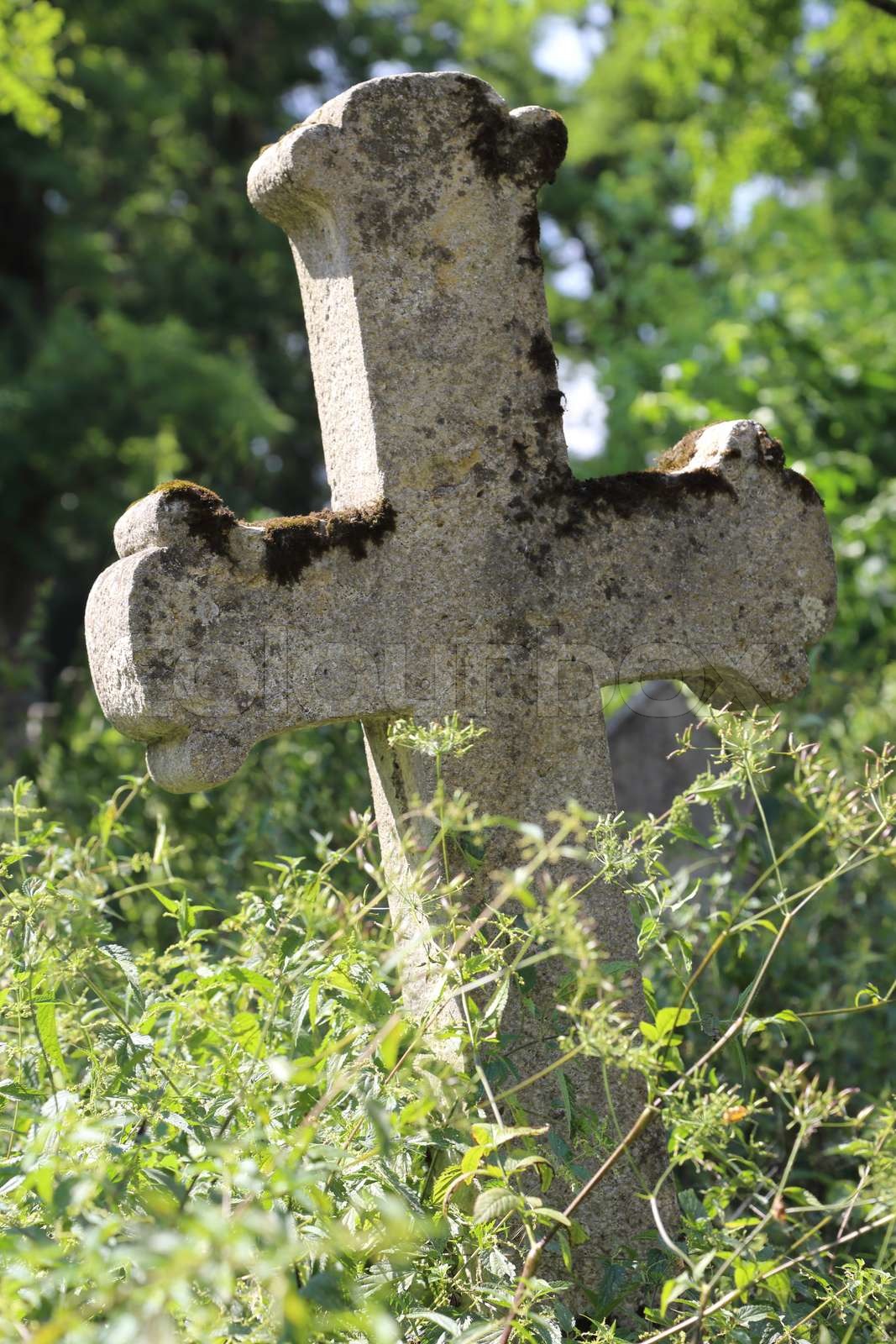 Gravestone cross | Stock image | Colourbox