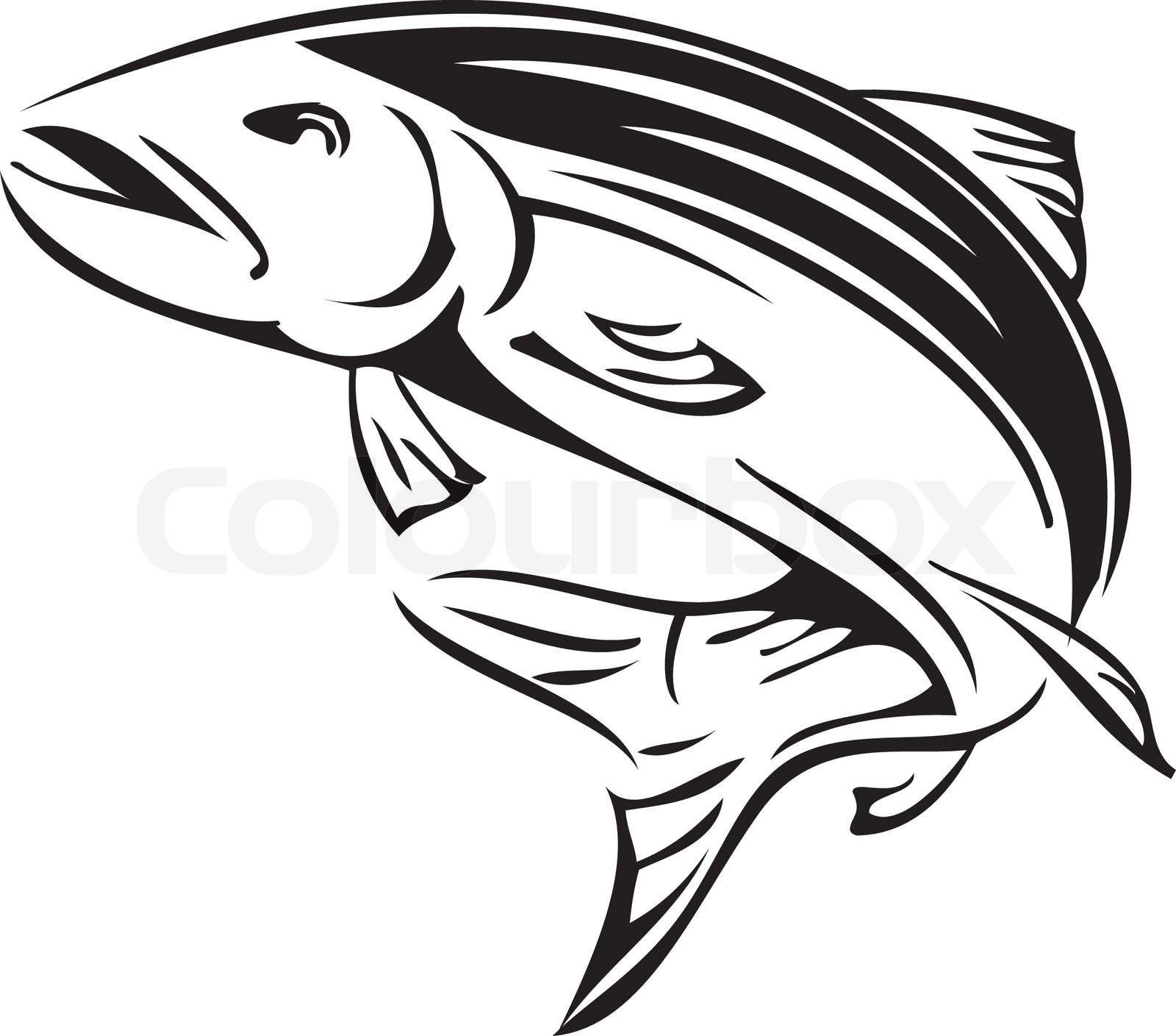Symbol salmon Stock vector Colourbox