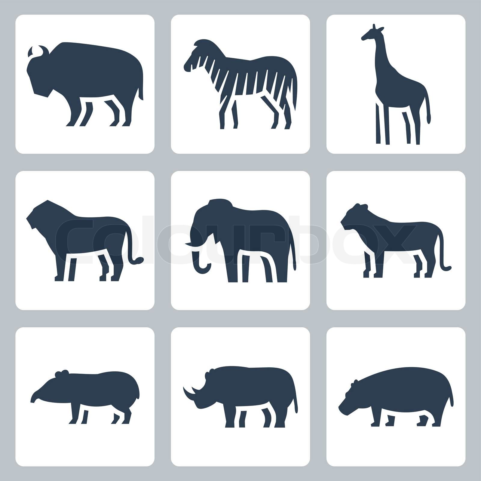 Welche Tiere Leben In Der Subtropischen Zone