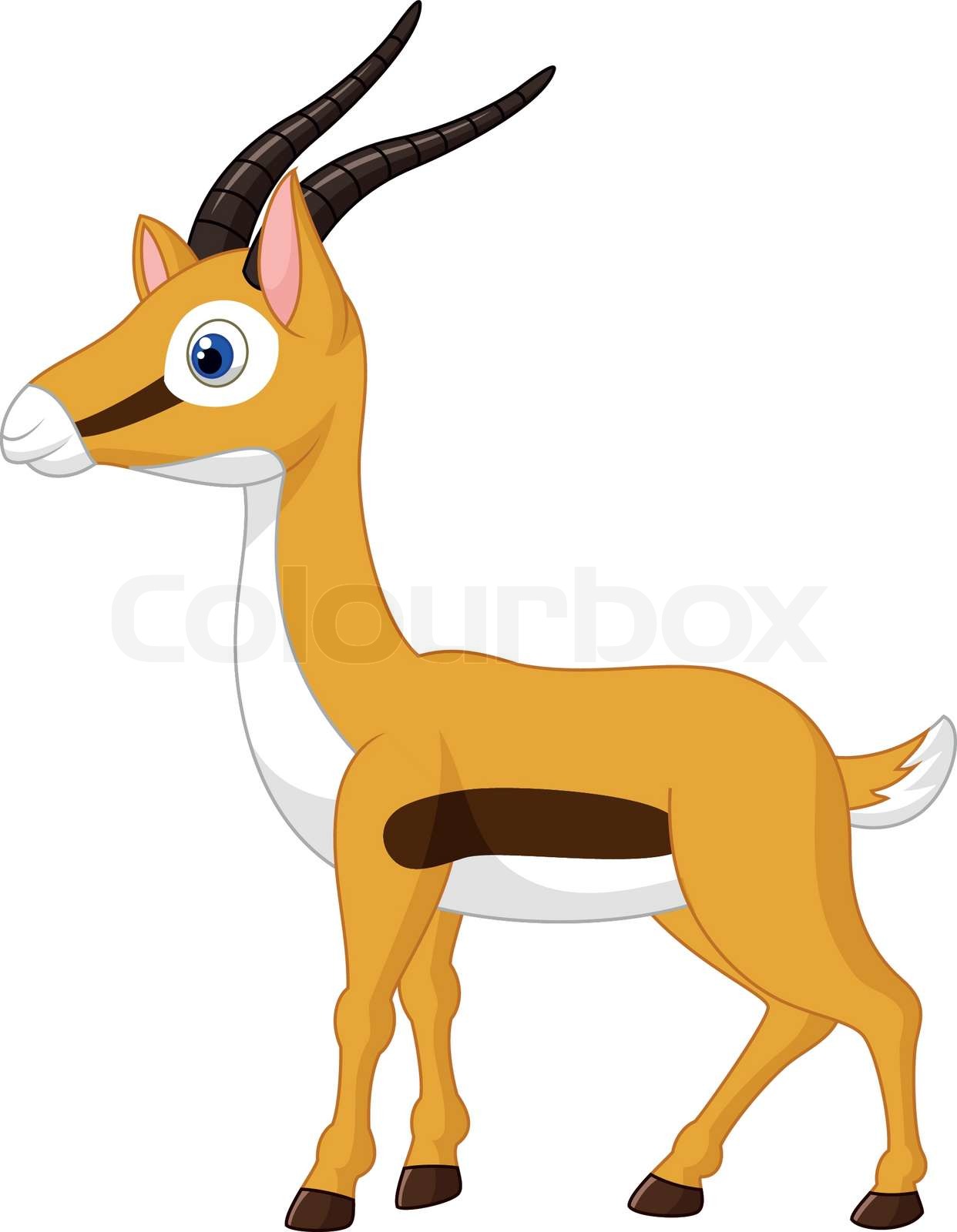 "Cute gazelle cartoon" | Stock vector | Colourbox