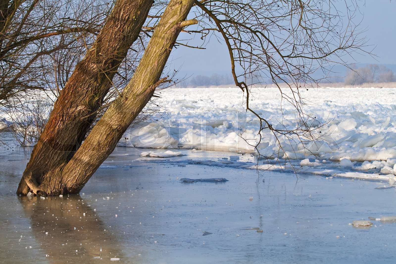 An der Oder Stock image Colourbox