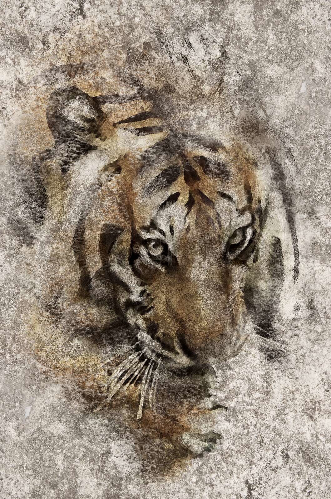 painting a tiger on the wall Stock image Colourbox