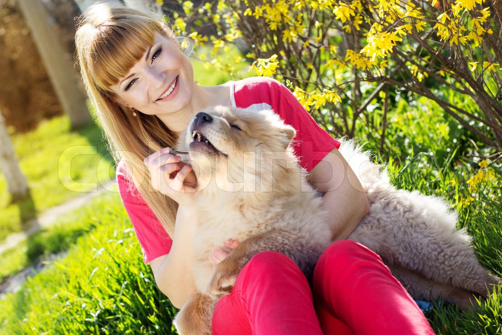 Portrait of a woman with her dog outdoors Stock image Colourbox