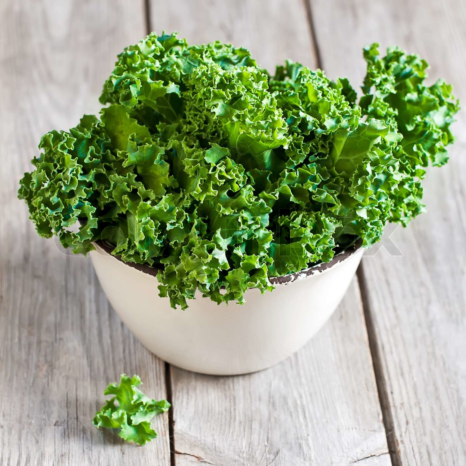 Kale Stock image Colourbox