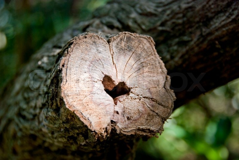 natural heart shape as