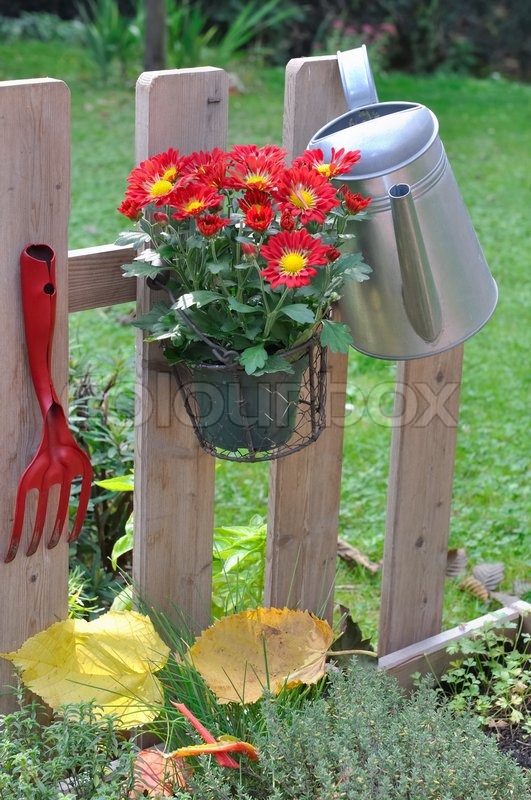 Zaun für den Garten | Stock Bild | Colourbox