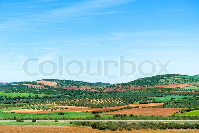 Picturesque fields in southern Spain ... | Stock image | Colourbox