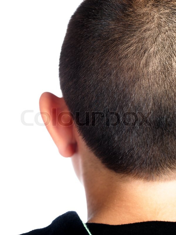 Back of a boy's head with crewcut   Stock Photo 