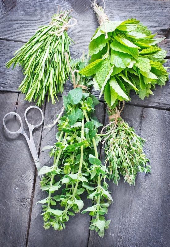 Aroma herbs Stock image Colourbox