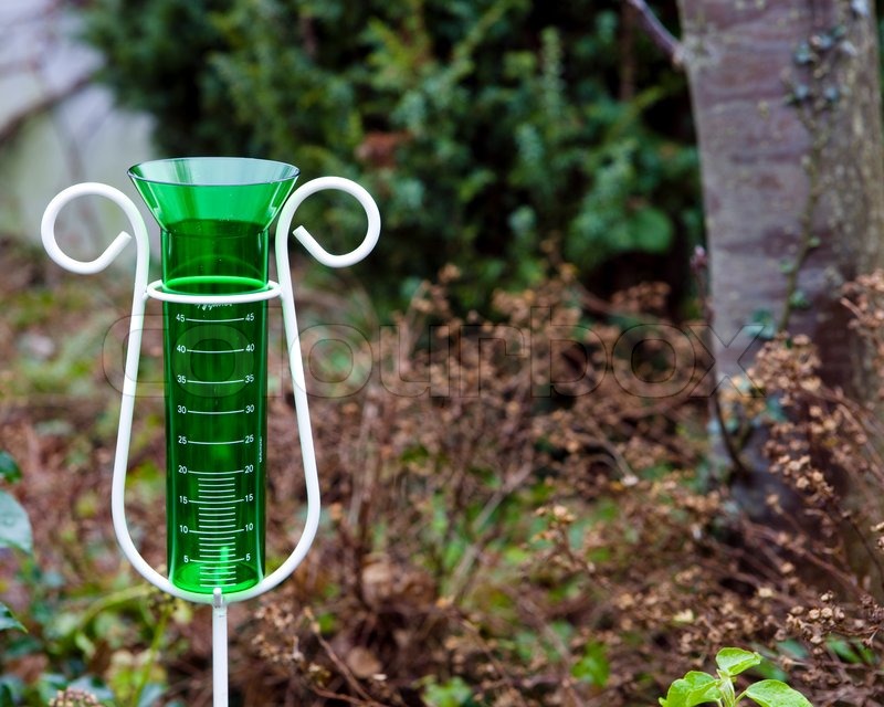 Garten, draußen, nahaufnahme | Stockfoto | Colourbox