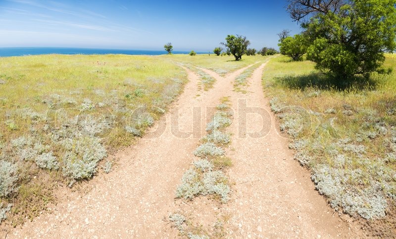 Fork Roads Horizon With Grass And Blue Stock Image Colourbox