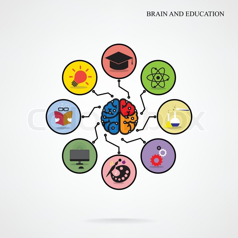 infographic template creative brain education and science concept