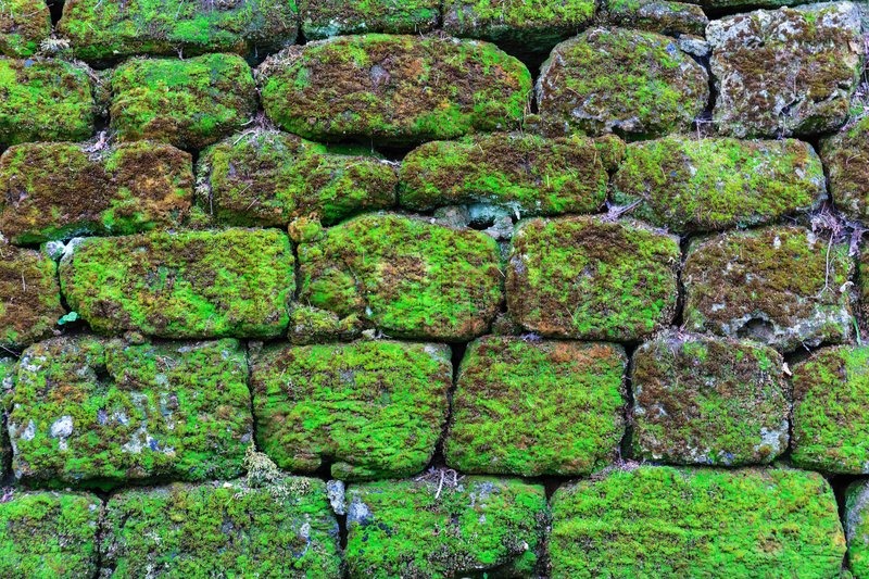 Mossy cobblestone tweak: Two new blocks - Minecraft Feedback