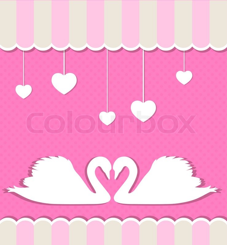 Pink background with two white swans Stock vector Colourbox
