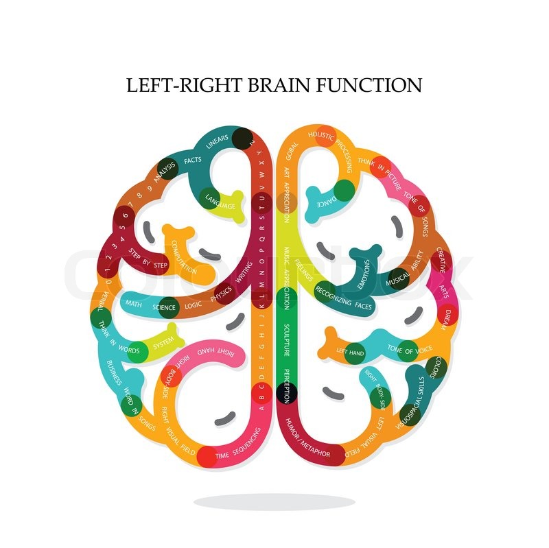 And Right Brain Function Ideas On Backgrounddesign For Posterflyercoverbrochurediagram Or Presentation Templateeducation Concept Business Idea And Right Brain Function Ideas On Backgrounddesign For Posterflyercoverbrochurediagram Or Presentation Templateeducation Concept Business Idea