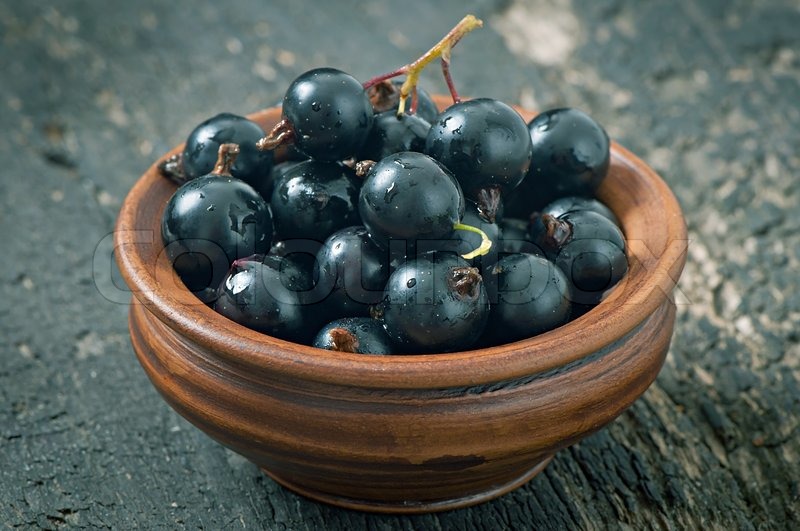 Black currant in a ceramic bowl on ... | Stock image | Colourbox