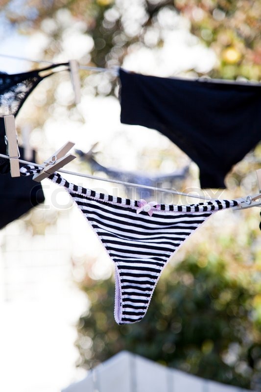 Underwear hanging to dry in a Stock image Colourbox