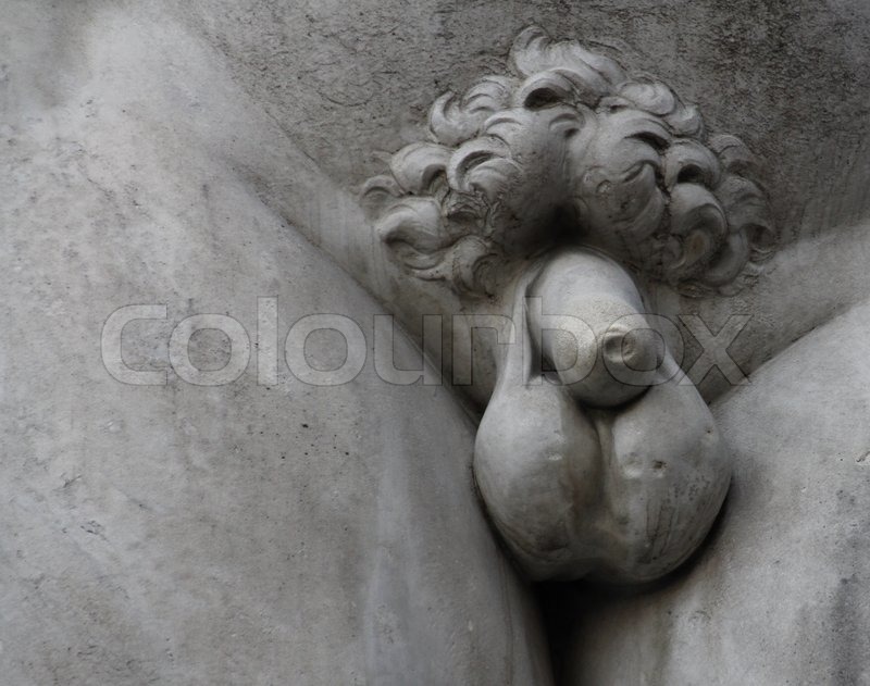 Detail Penis And Testicles Pubic Hair Stock Image Colourbox