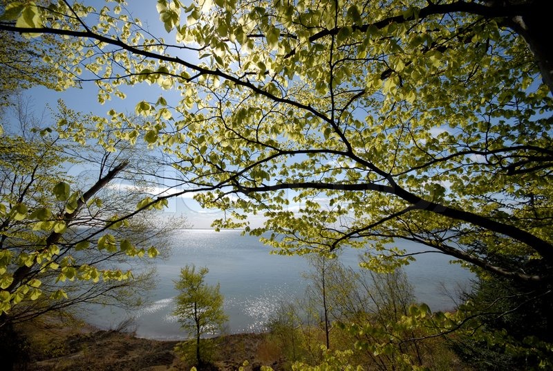 Springtime.Scandinavian green spring Stock image Colourbox