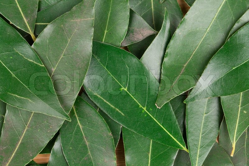 Background of bay leaves. Close up. | Stock image | Colourbox