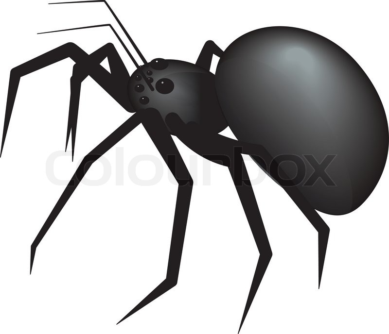 SPIDER | Stock vector | Colourbox