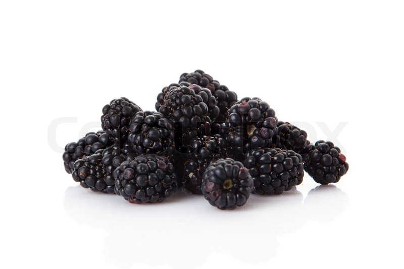 Blackberry Stock Image Colourbox