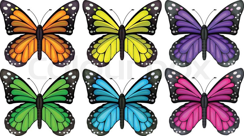 Schmetterlinge | Stock-Vektor | Colourbox