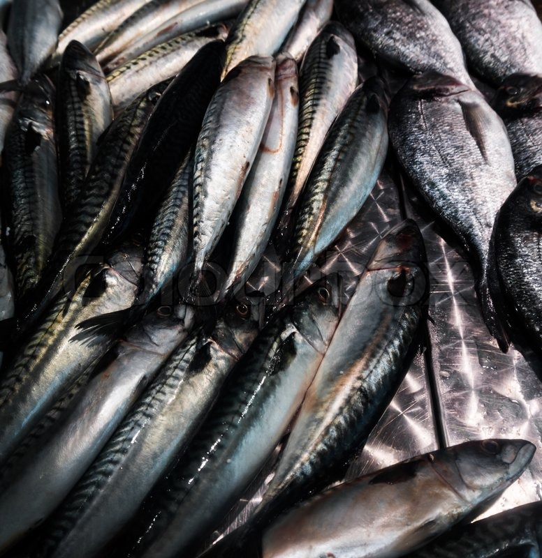 Fresh mackerel fish Stock image Colourbox