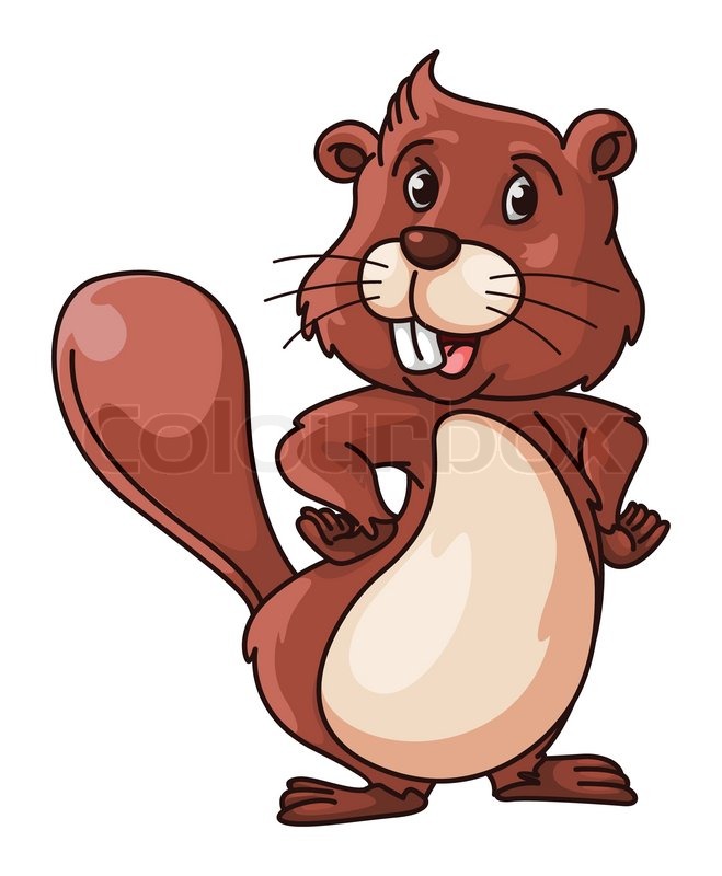 Beaver Cartoon Illustration | Stock vector | Colourbox