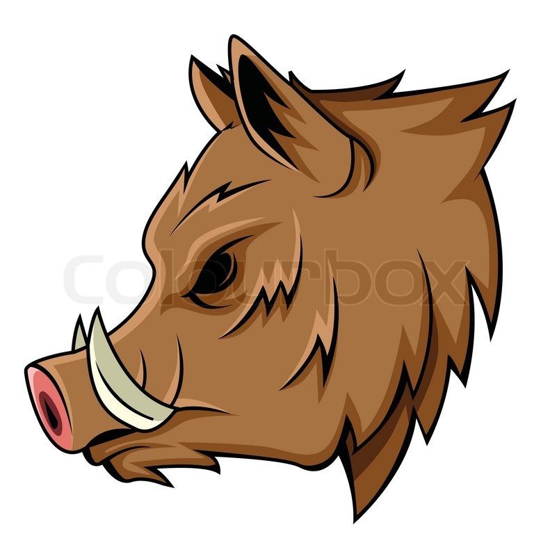 Wild boar | Stock vector | Colourbox