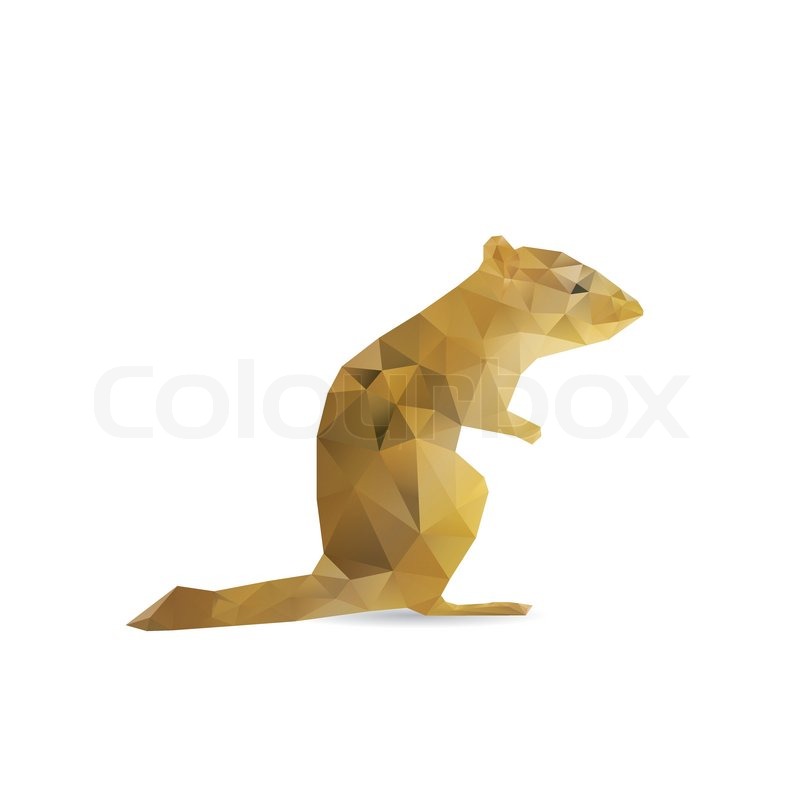 Abstract squirrel isolated on a white ... | Stock vector | Colourbox