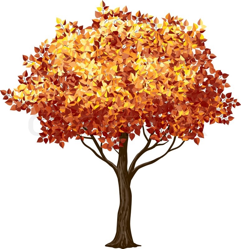 Tree in fall isolated on white. Eps8. | Stock vector | Colourbox