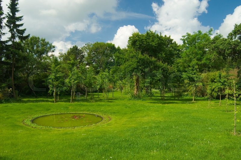 lawn, nature, grass, garden, summer, day, blue, tree, pond, landscape,  flowers, foliage, green, lake, background, wet,