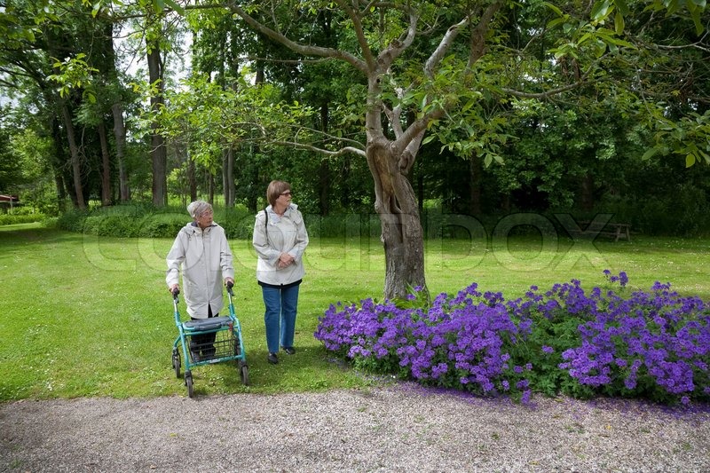 blomster i odense blomster i odense