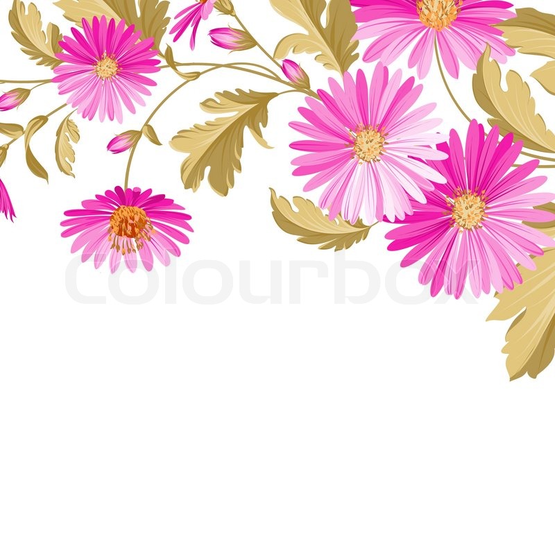 wedding photo design background