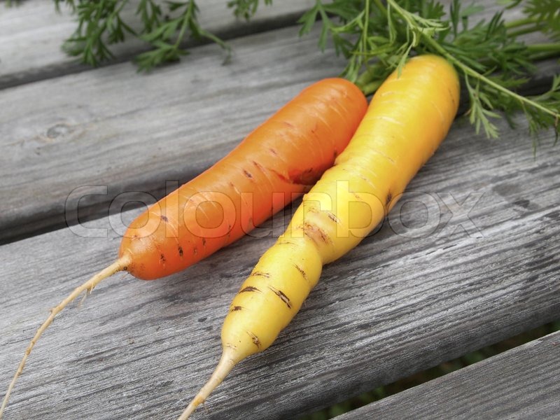 Carrot, yellow, carrots Stock Photo Colourbox