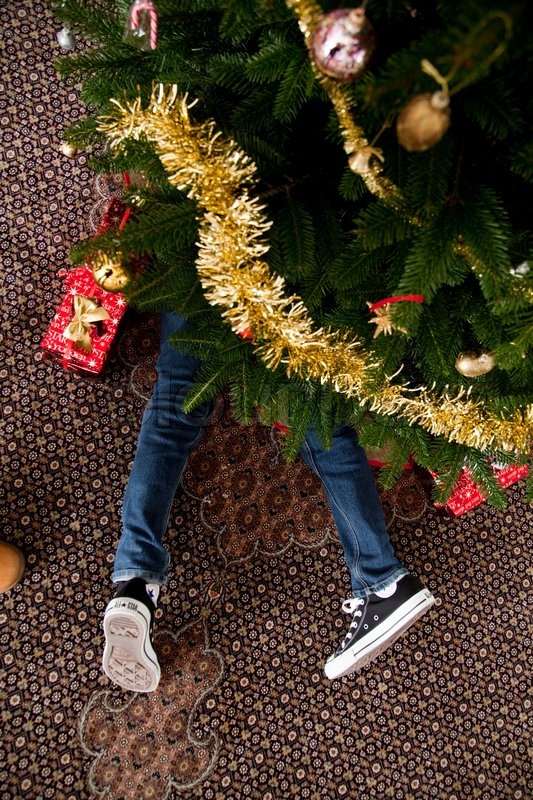 A young boy lying under the Christmas tree with presents | Stock image |  Colourbox