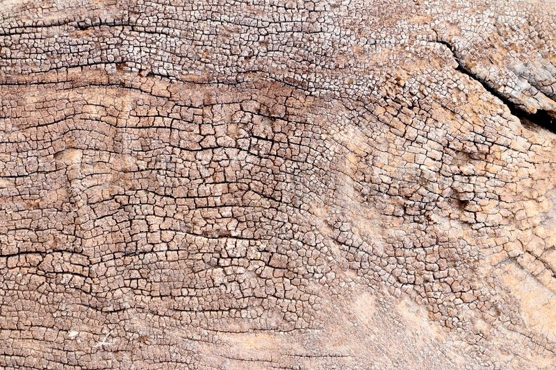 Vintage wood background | Stock image | Colourbox