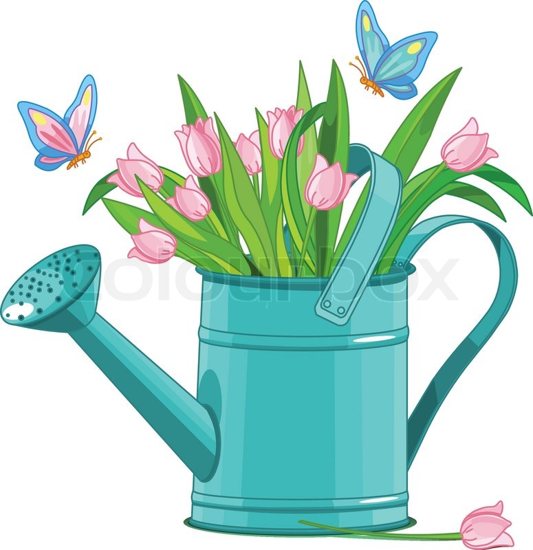 Watering can with bouquet of tulips Stock vector Colourbox