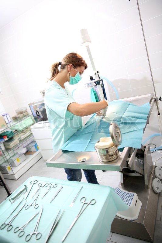 Veterinarian doing surgery on animal Stock image Colourbox